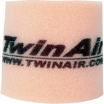 Twin Air Filter- Honda