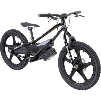 Moose Offroad Agroid RS-20 Balance E-Bike