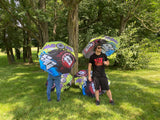 Limited edition DeRisi Racing, Tirespine, Spider Graphix umbrella